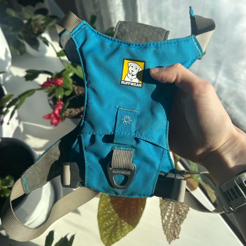 RuffWear Medium Blue dusk harness